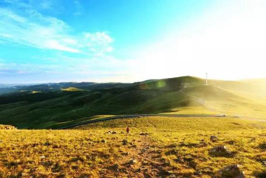 盛夏自驾这些地方消暑 有吃有喝还有玩