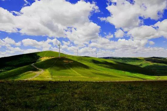 盛夏自驾这些地方消暑 有吃有喝还有玩