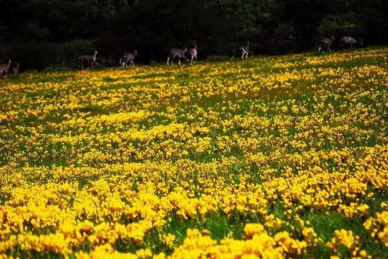 盛夏自驾这些地方消暑 有吃有喝还有玩