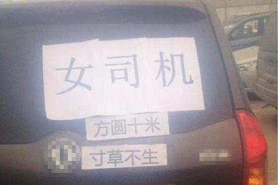 如果没有女司机 这世界还有什么意思