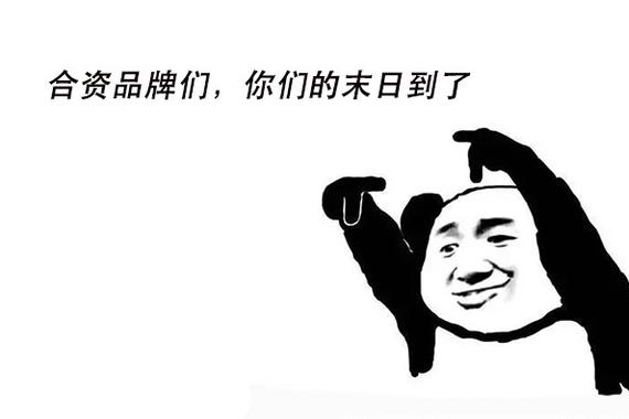 谁说中国SUV只有样子货？安全性能打脸合资！