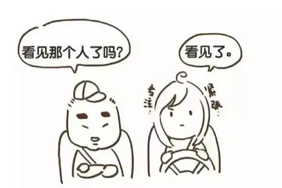 论段子手 除了薛之谦我只服驾校教练