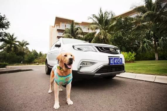 吉利博越为何与“神犬小七”惺惺相惜