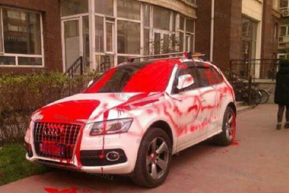 可不能乱停车 看看这些车的下场