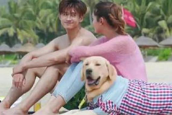 高温天 萌宠和三好先生更配