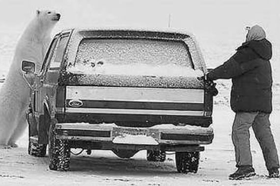 没有什么卵用的汽车冷知识 但学会可装B