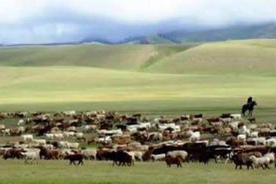 蒙古国豪车遍街 X6都不好意思开上路