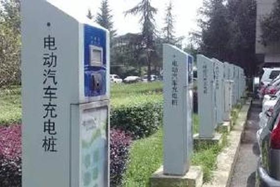 拿什么来拯救“僵尸桩”？