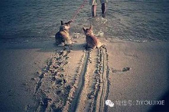 看看摩托车ABS到底是不是鸡肋