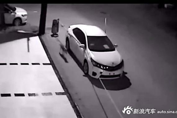 男子鸣笛赶狗 土狗竟叫伙伴把车拆了