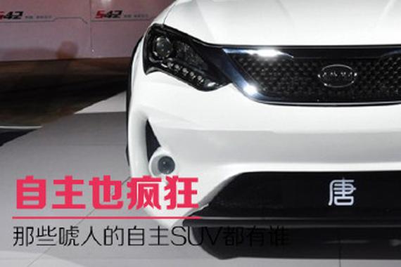 自主也疯狂 那些唬人的自主SUV都有谁