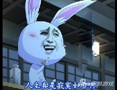 人生真是寂寞如雪啊