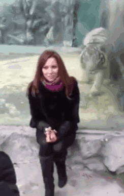 我有姿势我自豪每日囧吐槽:圣诞节送自己什么呢