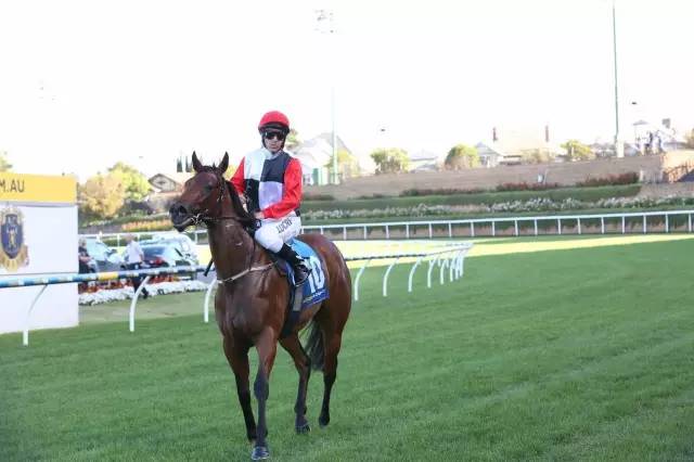 金利娱乐城开户:皇马娱乐城 赵薇空手套入主