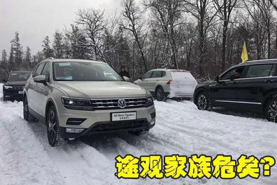 博越、荣威RX5杀进前十 途观危矣