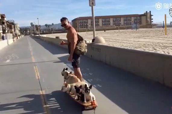 视频：交警会不会说你超载啊？