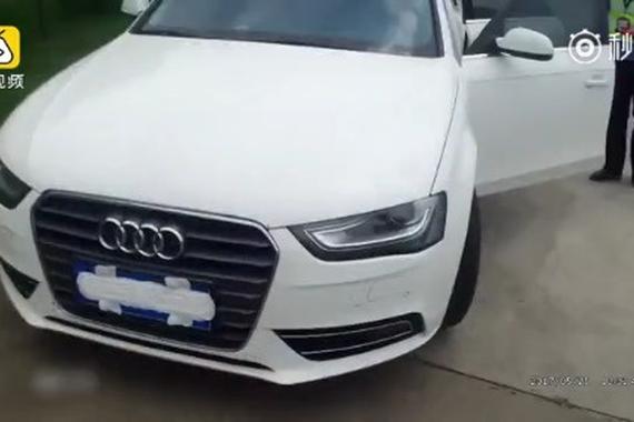 视频：高速上一男司机用卫生巾遮挡号牌