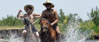 炎炎夏日土耳其牛仔水中骑马降温