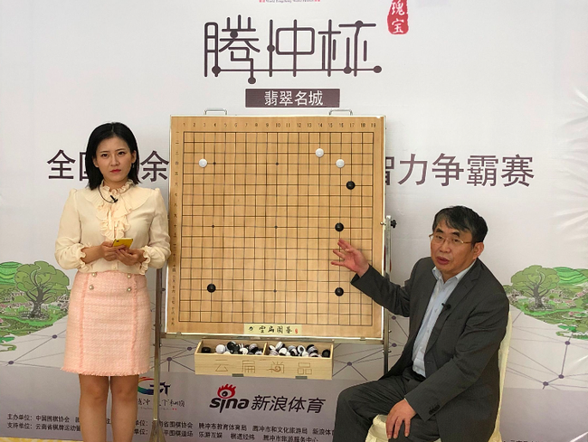 腾冲杯业余围棋赛