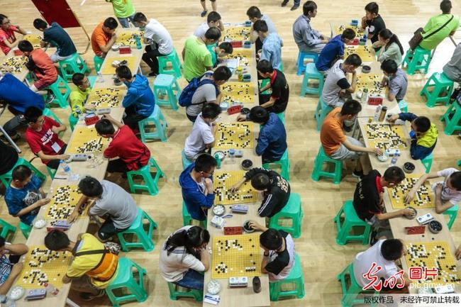 首届版纳茶仓杯全国少儿围棋公开赛日程安排通知 资料图