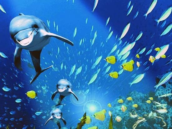 老虎滩极地海洋公园
