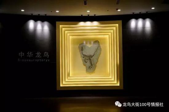 景区内的“鹦鹉帝国”发布会开始!