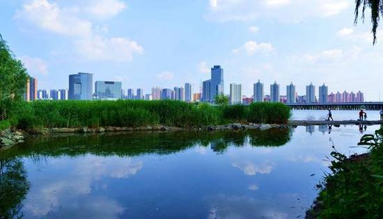 沈阳最近人口普查_沈阳人口分布热力图(3)