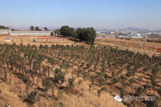 蒙古园人口_南阳蒙古风情园
