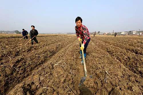 农业部:辽宁4地入选农村集体产权制度改革试点