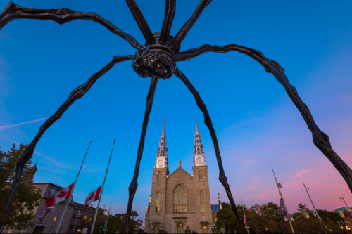 实力派相机佳能5D4与拍摄技巧带来的唯美加拿