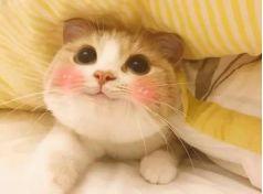 沈阳惠生新城公租房5月8日办理入住 入住时间