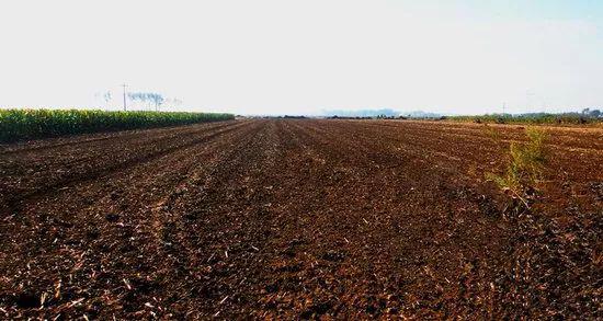 农业部:辽宁4地入选农村集体产权制度改革试点