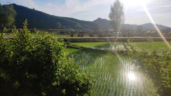 新冠肺炎|村民齐心，开原西场村变了样儿