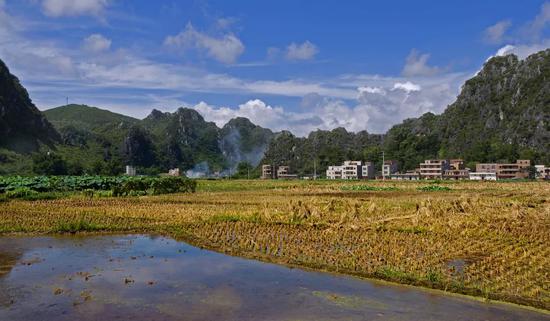 农业部:辽宁4地入选农村集体产权制度改革试点