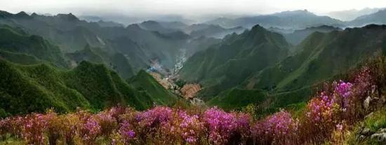 春看鸟飞湿地、山花烂漫