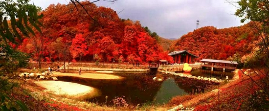 辽宁省文化和旅游厅推荐辽宁秋季好去处系列旅行攻略第五期——本溪