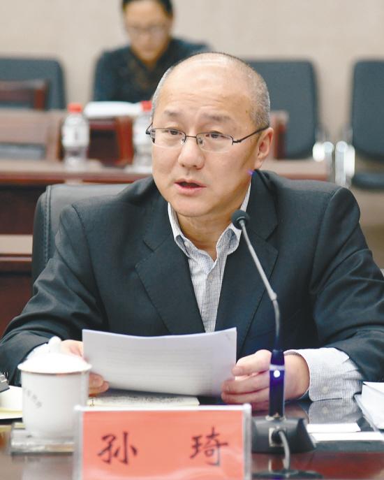 中国风险投资有限公司基金管理合伙人孙琦