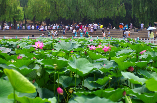 2019中国沈阳国际旅游节夏季游今日开启