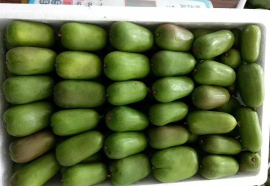 辽宁省丹东宽甸排名_辽宁丹东宽甸警方城北派出所破获一起贩毒案