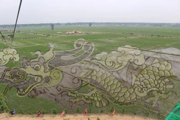 阿斯顿维拉vs曼联-万博体育(官网)官方网站-万博体育app官网下载-ManBetX