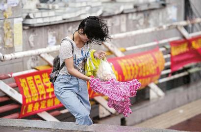 在长春，一名学生顶风过天桥新文化记者 郭亮 摄