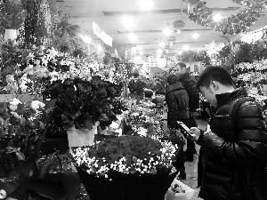 花卉市场人气“爆棚”,各式玫瑰花的价格连日猛涨。