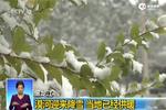 黑龙江：漠河迎来降雪 当地已经供暖