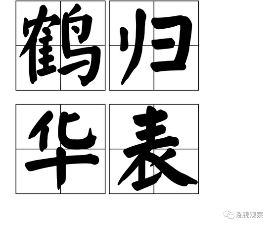 “大雁”指是什么生肖,成语分析落实释义释义