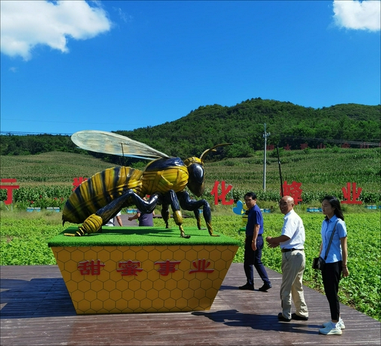 市区两级政协委员在白马石乡上三角村调研 