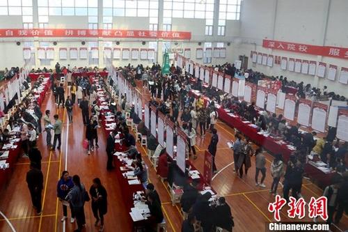 资料图:大学生在招聘会现场寻找工作岗位。中新社记者 马铭言 摄