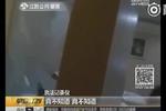 酒后肇事找人顶包 手机解锁拆穿真相