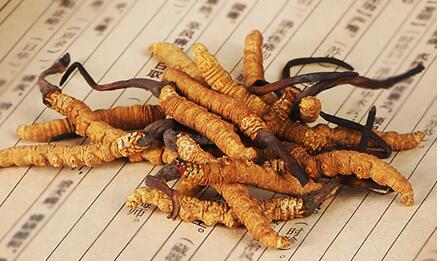 金荣草冬虫夏草臻草系列高端人士偏爱的新年礼