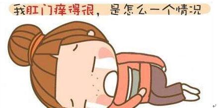 治疗痔疮用什么药效果好,揭密痔疮怎么样好得