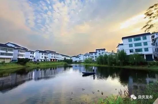 南宁坛板坡紫色花海盛开了?快来看怎么回事